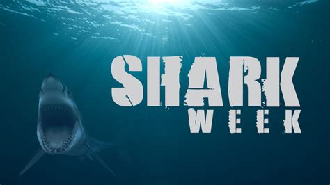 Shark Week is On! - Mind on Movies