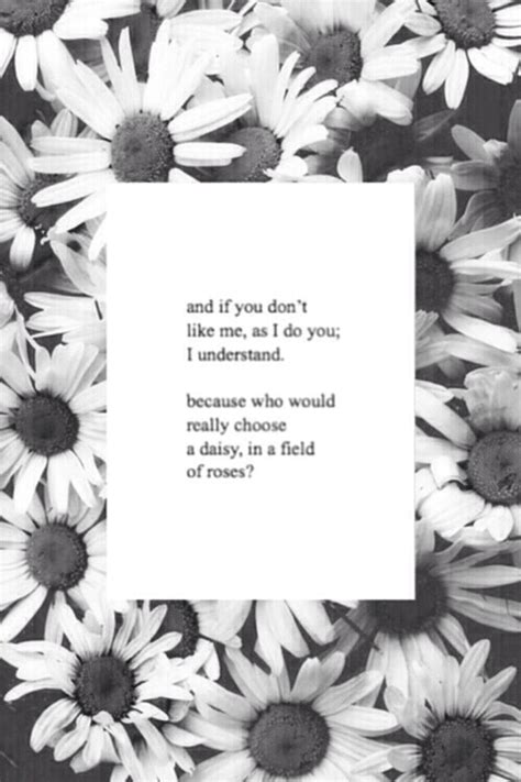 Daisy Quotes. QuotesGram