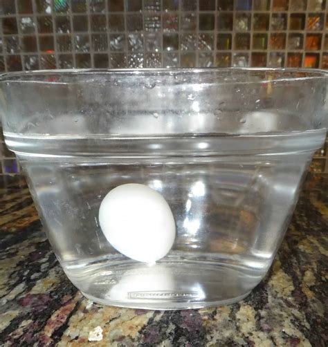 Methods of Checking Egg Freshness | Rural Living Today