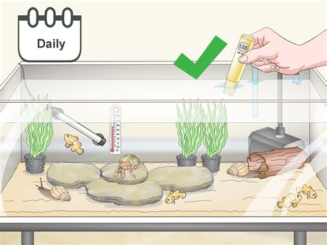 How to Set up a Marine Reef Aquarium: 14 Steps (with Pictures)