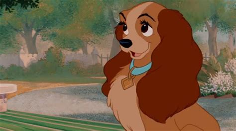 Lady and the Tramp: Lady Gets Her Collar | Disney animals