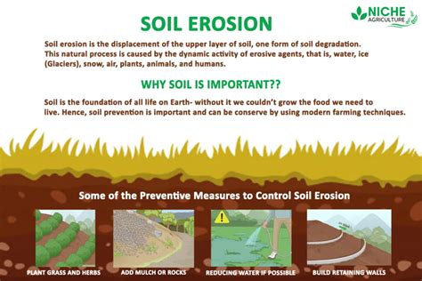 Soil Erosion Pictures