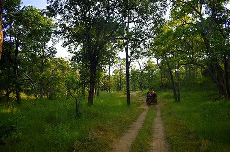 Pench National Park - Tiger Reserve in Madhya Pradesh, India | Travel ...