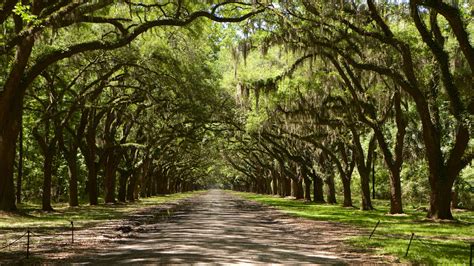 Vacation Homes near Wormsloe Historic Site, Moon River District: House ...