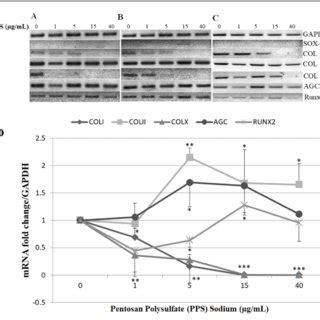 Effects of pentosan polysulfate (PPS) sodium on chondrocytes... | Download Scientific Diagram