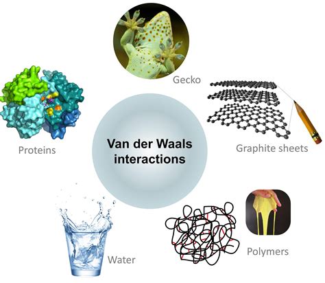 Van der Waals Interactions Measured for the First Time