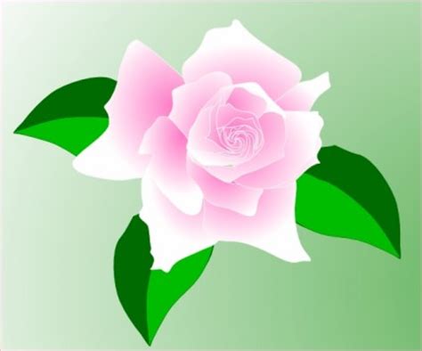 Pink Rose Clip Art-vector Clip Art-free Vector Free Download