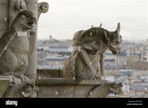 Gargoyles on the western facade of the Notre-Dame Cathedral in fourth ...