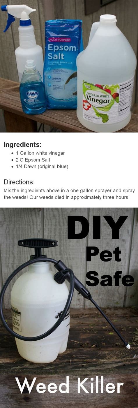 Vinegar Weed Killer Recipe With Epsom Salt | Recipes Bro