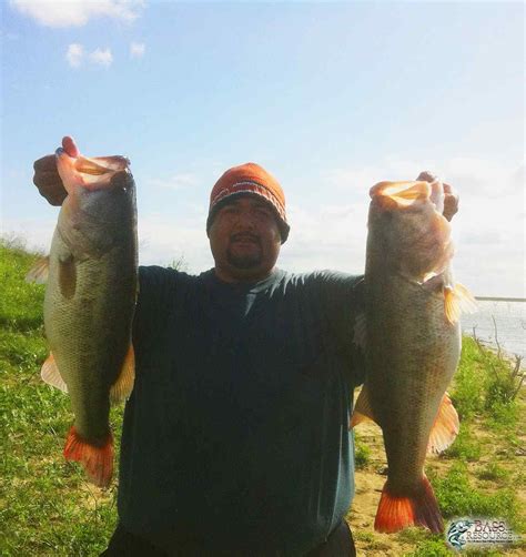 Falcon Lake - Largemouth Trophy Room - Bass Fishing Forums