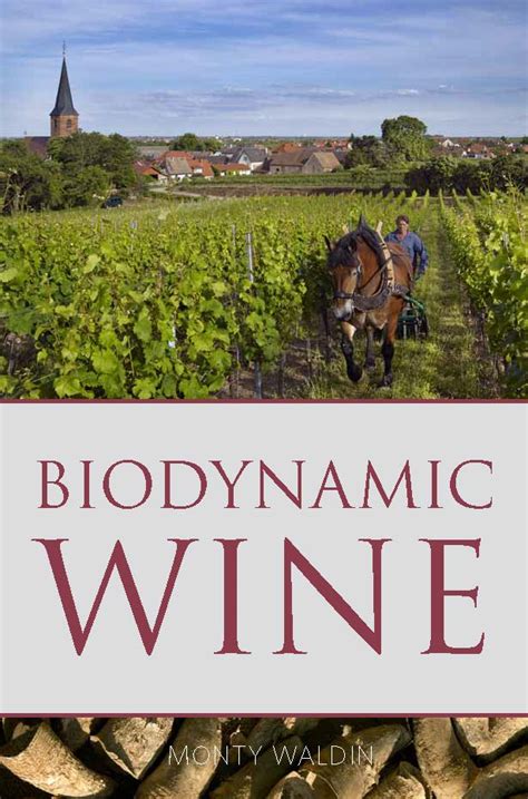 Extract: Biodynamic Wine by Monty Waldin | Infinite Ideas