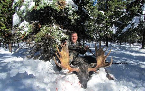 Shiras Moose Hunting Wyoming | Wyoming Moose Hunting Outfitters Unit 1