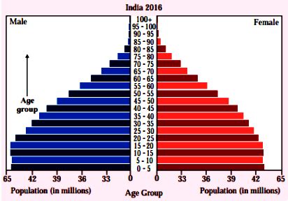 The population pyramid of India is given below. Read the pyramid and answer the following ...