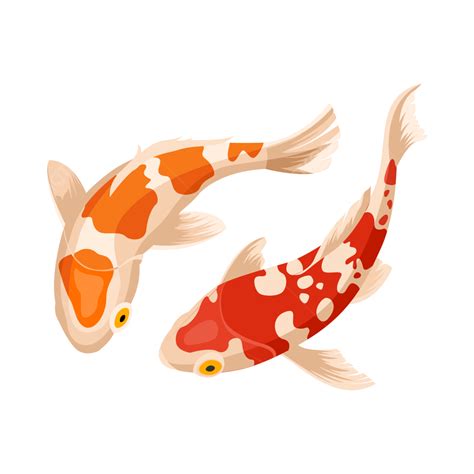 Koi Fish Koi Vector Png Transparent Clipart Image And Psd File For ...