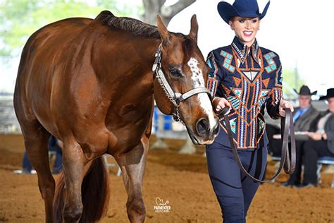 Florida Gold Coast Quarter Horse Circuit Honored as Top Three Quarter ...