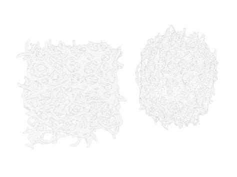 3D Model Bone Structure - TurboSquid 2021518