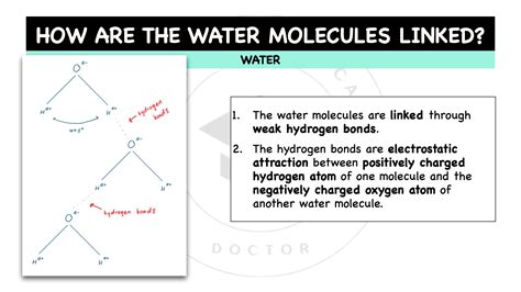 Chemical & Physical Properties Of Water – The Theoretical Doctor