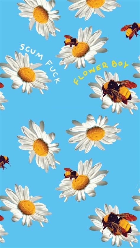 Tyler the creator flower boy album download - mahajersey