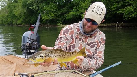 Looknfishy: Fly Fishing the White River, Arkansas