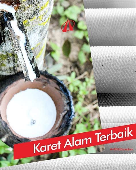 Karet Alam Terbaik Ardiles Sneakers Lovers, getah karet asli itu warnanya putih. Karet alami ...