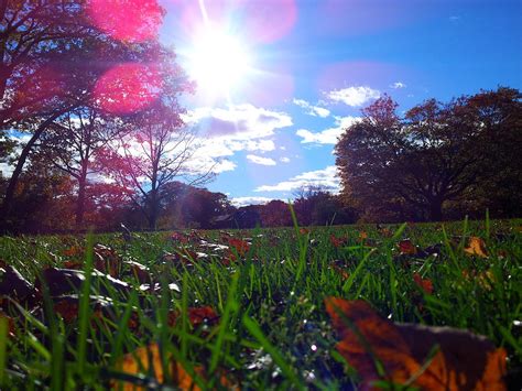 Sunny Fall Day Photograph by Megan Thompson - Fine Art America