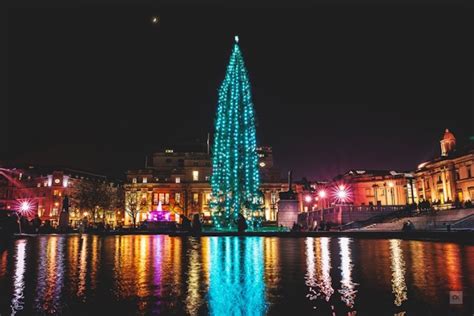 London's Best Christmas Trees 2016 | Londonist