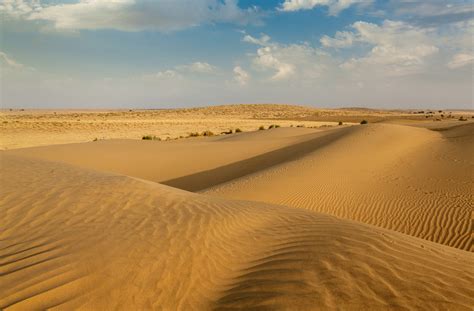 Le meilleur du Rajasthan : Désert du Thar - Routard.com