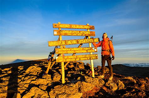 Kilimanjaro Sunrise Stock Photos, Pictures & Royalty-Free Images - iStock