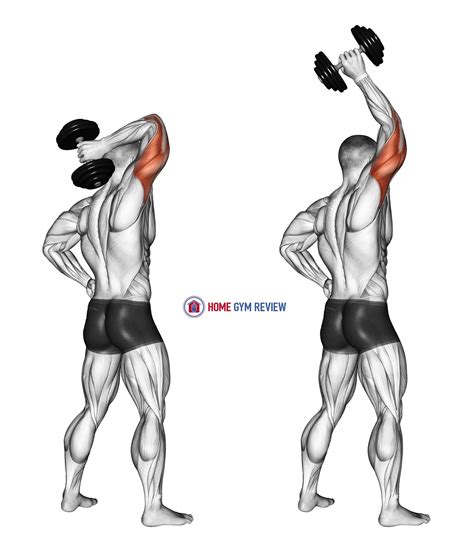 Dumbbell Standing One Arm Extension - Home Gym Review