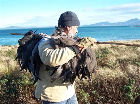 Cultural Heritage - Aboriginal Heritage Tasmania | Heritage, Culture, Aboriginal