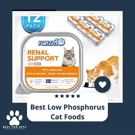 The 10 Best Low Phosphorus Cat Foods [Update 2024] - BestForPets.org