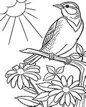 Free parrot coloring page - Topcoloringpages.net