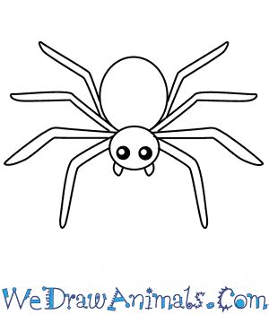 Spider Drawing Simple