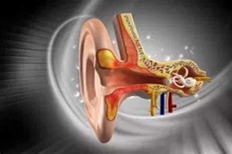 Facts You Should Know About Vestibular Disorders