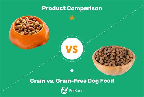 Whats The Difference Between Grain Free Dog Food?