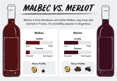 Malbec vs. Merlot – Wine Insiders