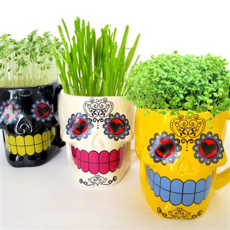 DIY Microgreens Indoor Garden Kit in Sugar Skull Mug Planters | Etsy | Sugar skull planter ...