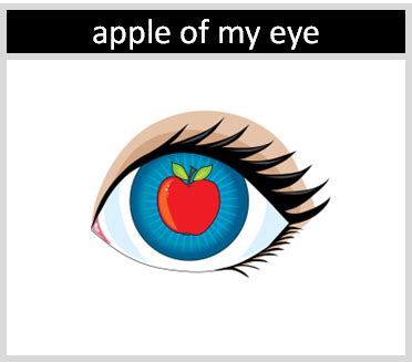 The phrase "apple of my eye" means? – CSS MCQs