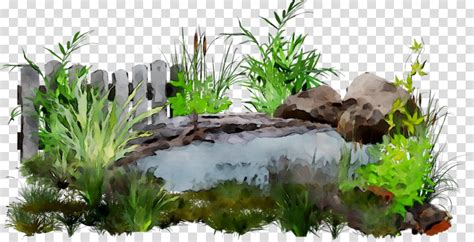 Landscaping clipart pond grass, Landscaping pond grass Transparent FREE for download on ...