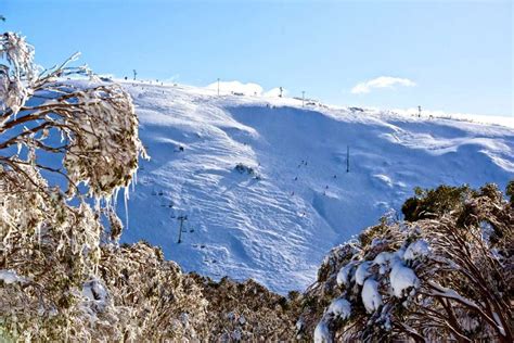 Australia Smashes 25-Year-Old Snowfall Record! - Snow Addiction - News ...