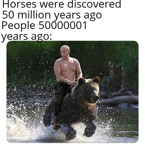 Putin bear : r/memes