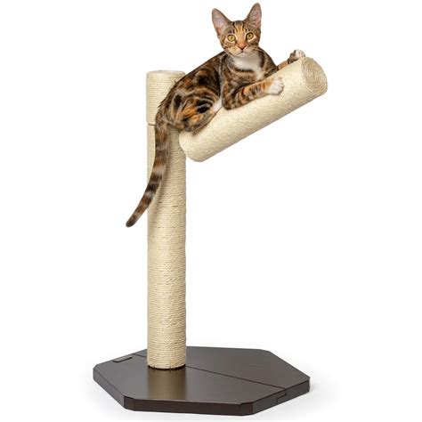 PetFusion [Branch-Out Cat Scratching Post. Tall Vertical Post with ...