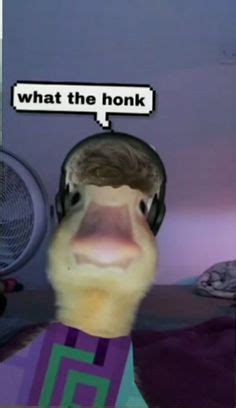 Funny Duck Meme Pfp - Debora Milke