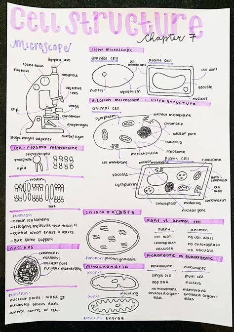 aesthetic notes | Nurse study notes, Nursing school notes, Medical ...