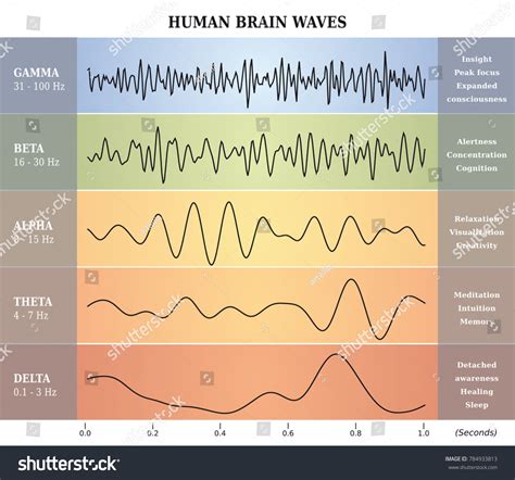 Gamma Waves Brain Stock Photos and Pictures - 77 Images | Shutterstock