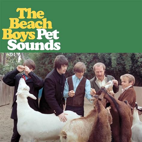 Alternate Pet Sounds album cover, based on the blocking design for the ...