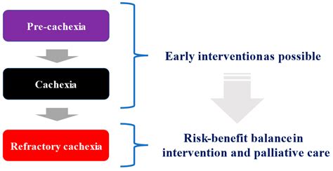 IJMS | Free Full-Text | Cancer Cachexia: Its Mechanism and Clinical ...