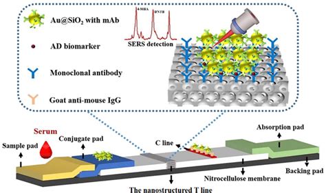 Schematic illustration of multiplex AD biomarker detection by ...