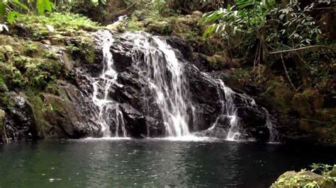 15 Amazing Waterfalls in Belize - The Crazy Tourist