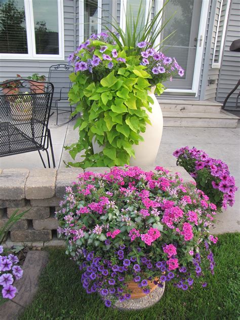 This was from a few years ago..my patio containers | Potted plants ...